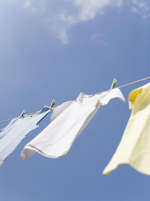 骨董品買取が福岡で評判となっている